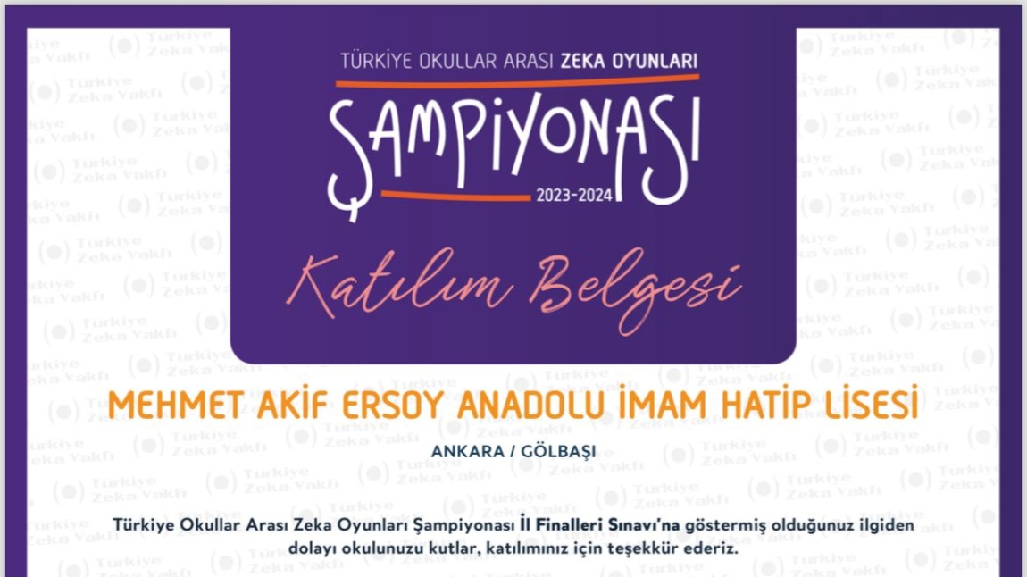 Türkiye Okullar Arası Zeka Oyunları Şampiyonası İl Finali'nde Performans Sergiledik